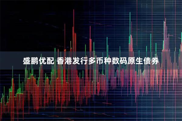 盛鹏优配 香港发行多币种数码原生债券