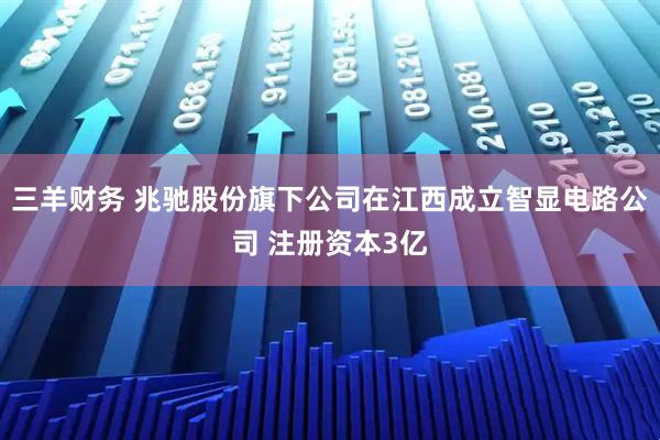 三羊财务 兆驰股份旗下公司在江西成立智显电路公司 注册资本3亿