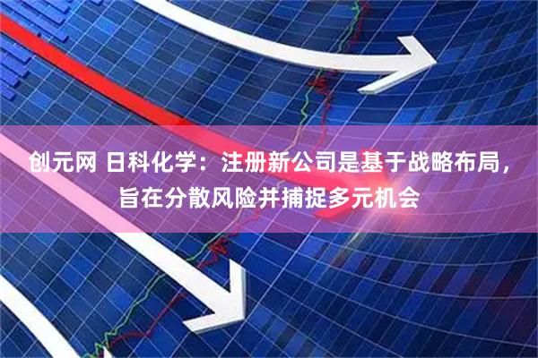 创元网 日科化学：注册新公司是基于战略布局，旨在分散风险并捕捉多元机会