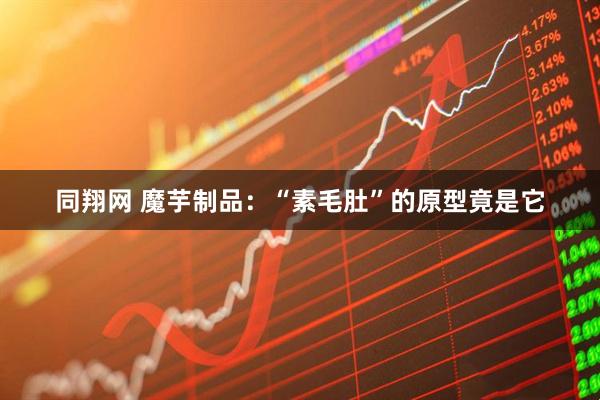 同翔网 魔芋制品：“素毛肚”的原型竟是它