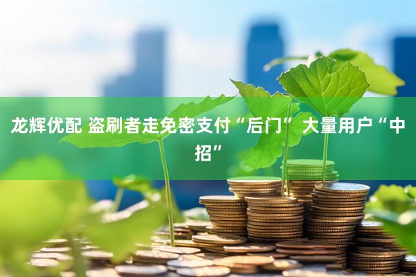 龙辉优配 盗刷者走免密支付“后门” 大量用户“中招”