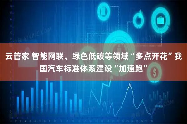 云管家 智能网联、绿色低碳等领域“多点开花”我国汽车标准体系建设“加速跑”