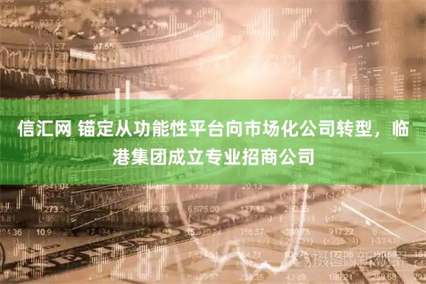 信汇网 锚定从功能性平台向市场化公司转型，临港集团成立专业招商公司